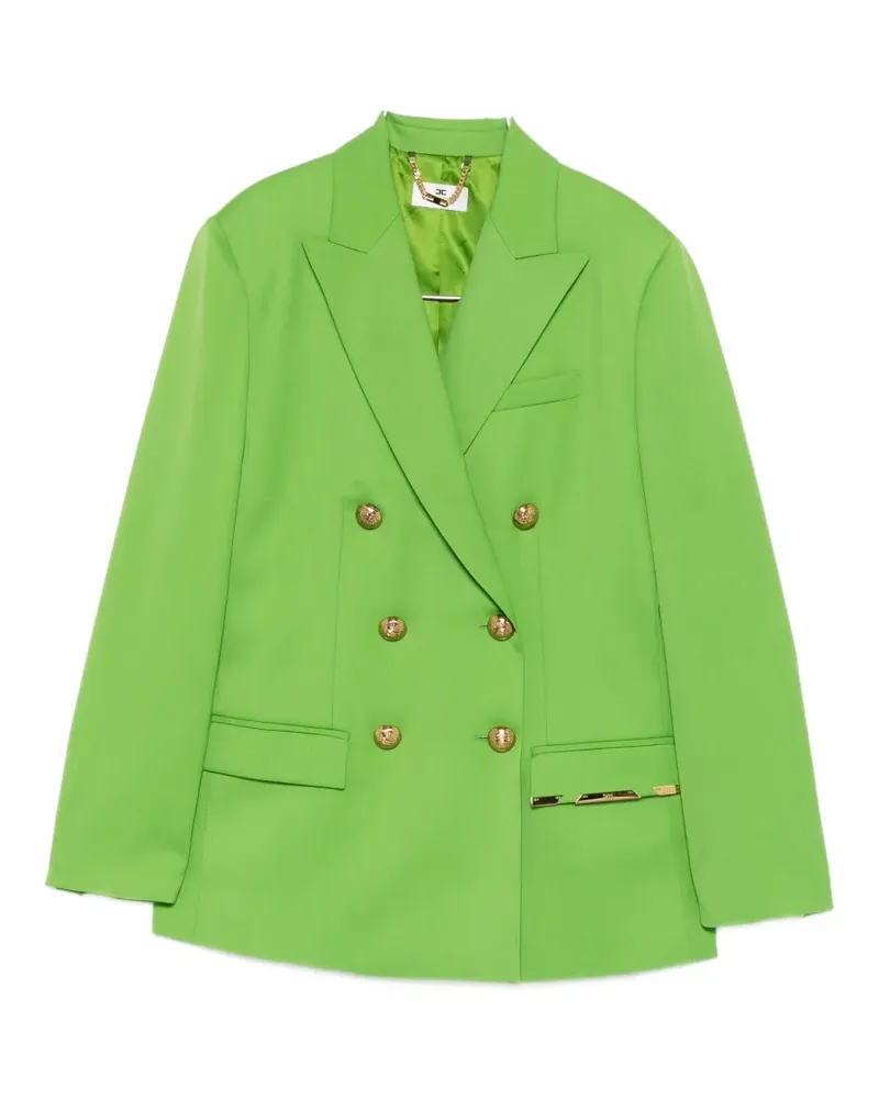Elisabetta Franchi double-breasted buttoned jacket - Grün Grün