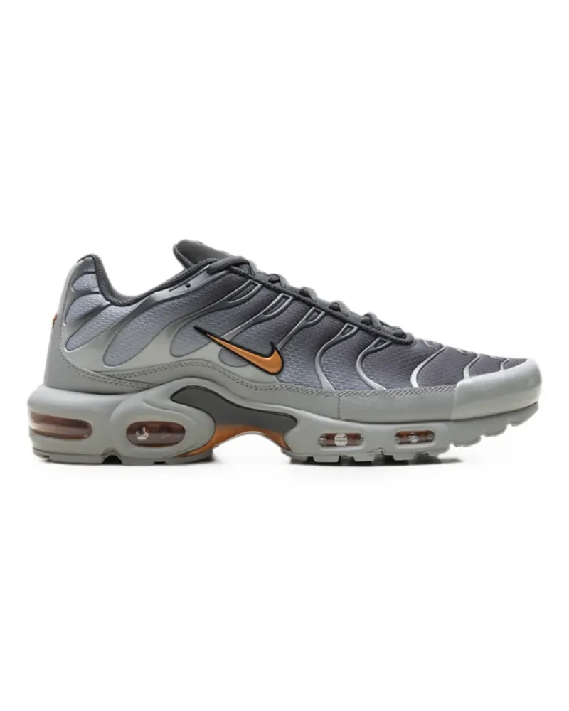 Nike Air Max Plus sneakers - Grau Grau