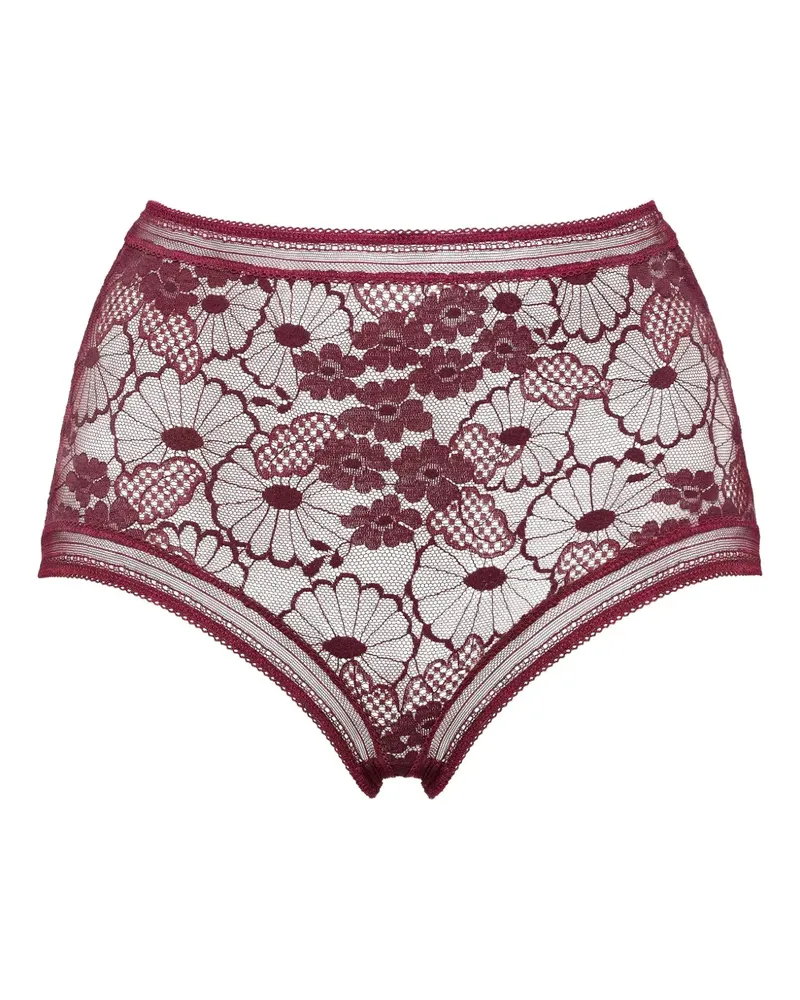Eres Slip mit Spitze - Violett Violett
