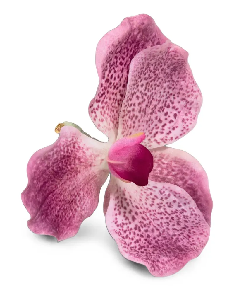 Jennifer Behr Orchidia Brosche - Rosa Rosa