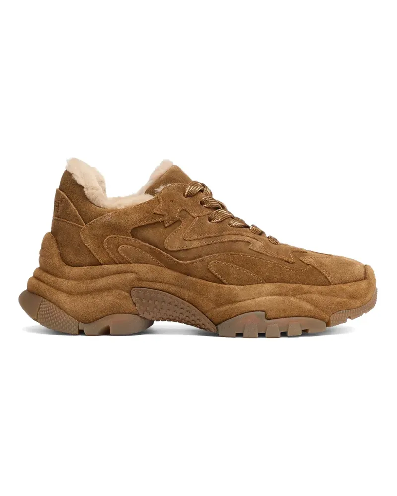 ash Addict Bis panelled shearling-lined sneakers - Braun Braun