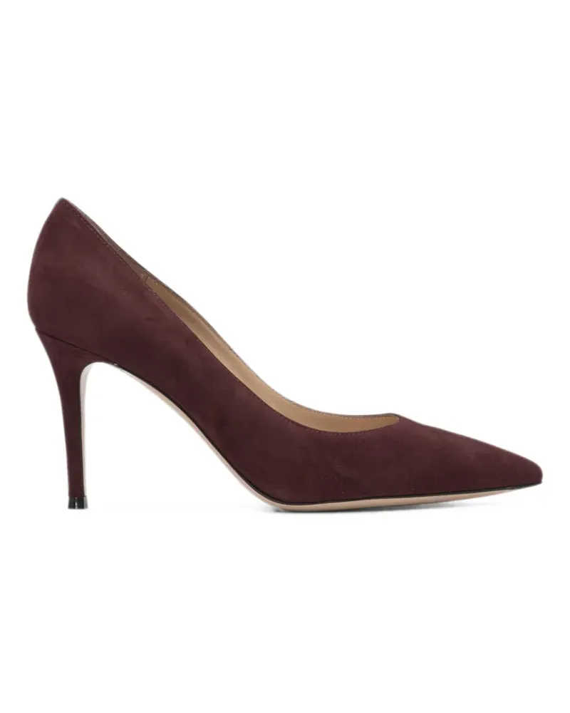 Gianvito Rossi Pumps mit spitzer Kappe - Braun Braun