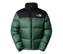 Gefütterte Kapuzenjacke - Grün