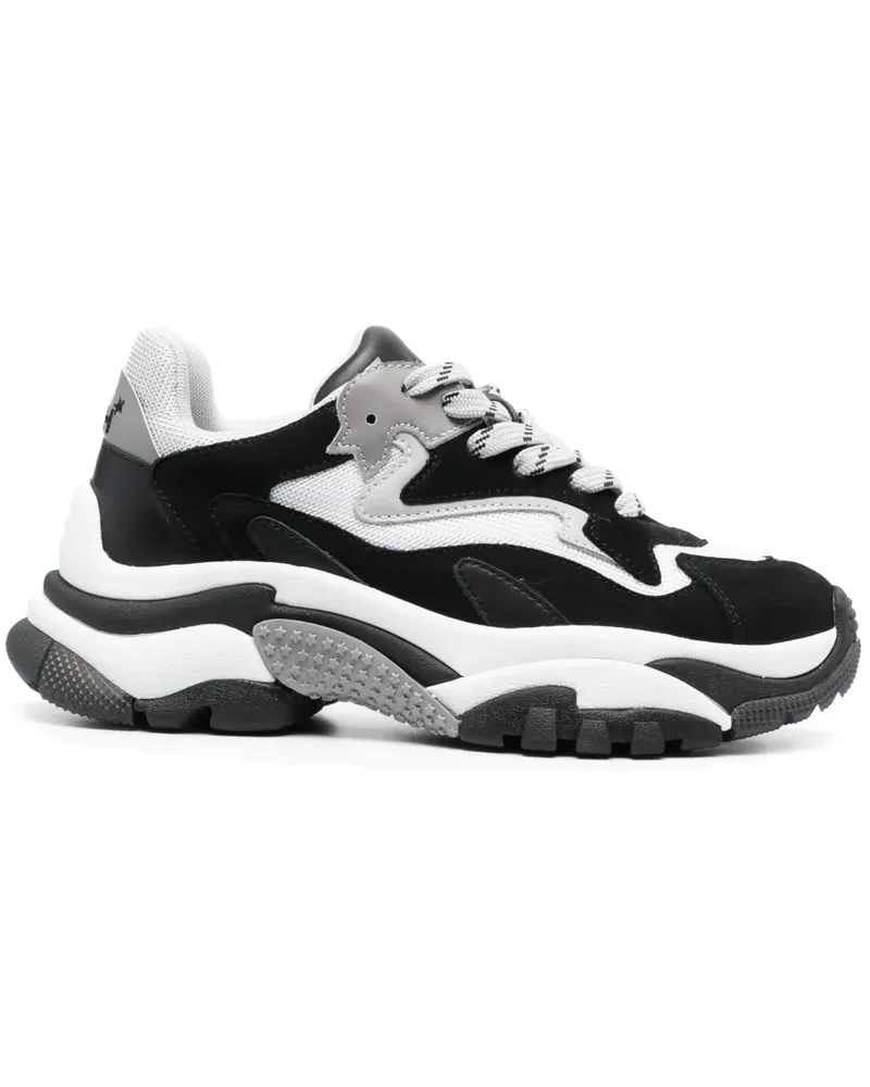 ash Addict Sneakers - Schwarz Schwarz