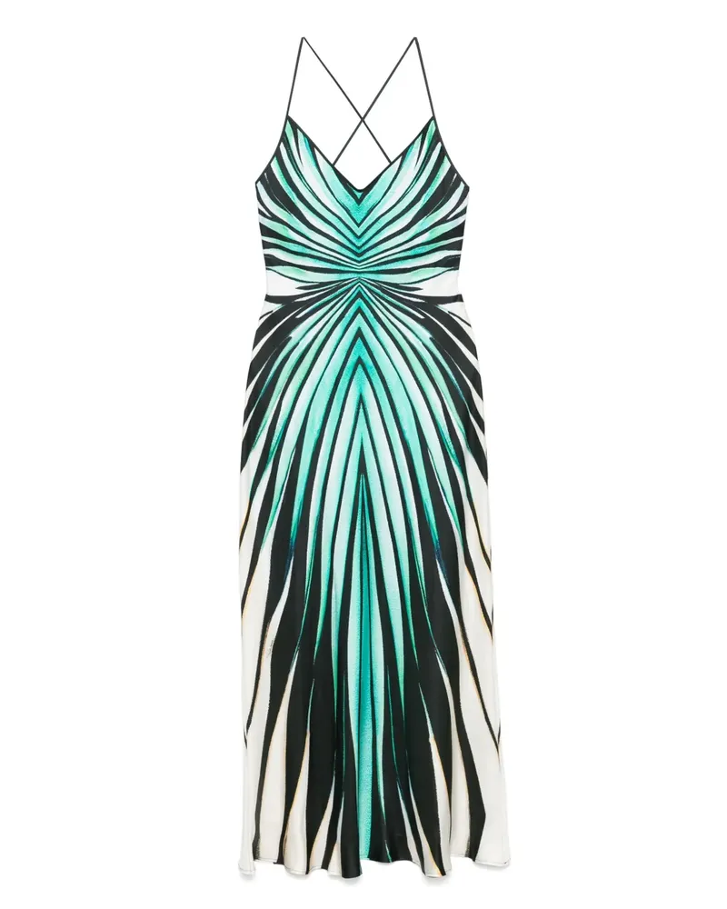 Roberto Cavalli Ray of Sea Kleid - Schwarz Schwarz
