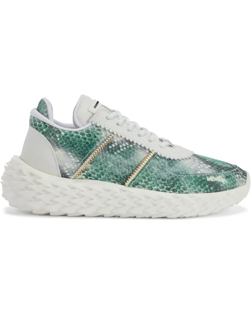 Giuseppe Zanotti Urchin Sneakers - Grün Grün