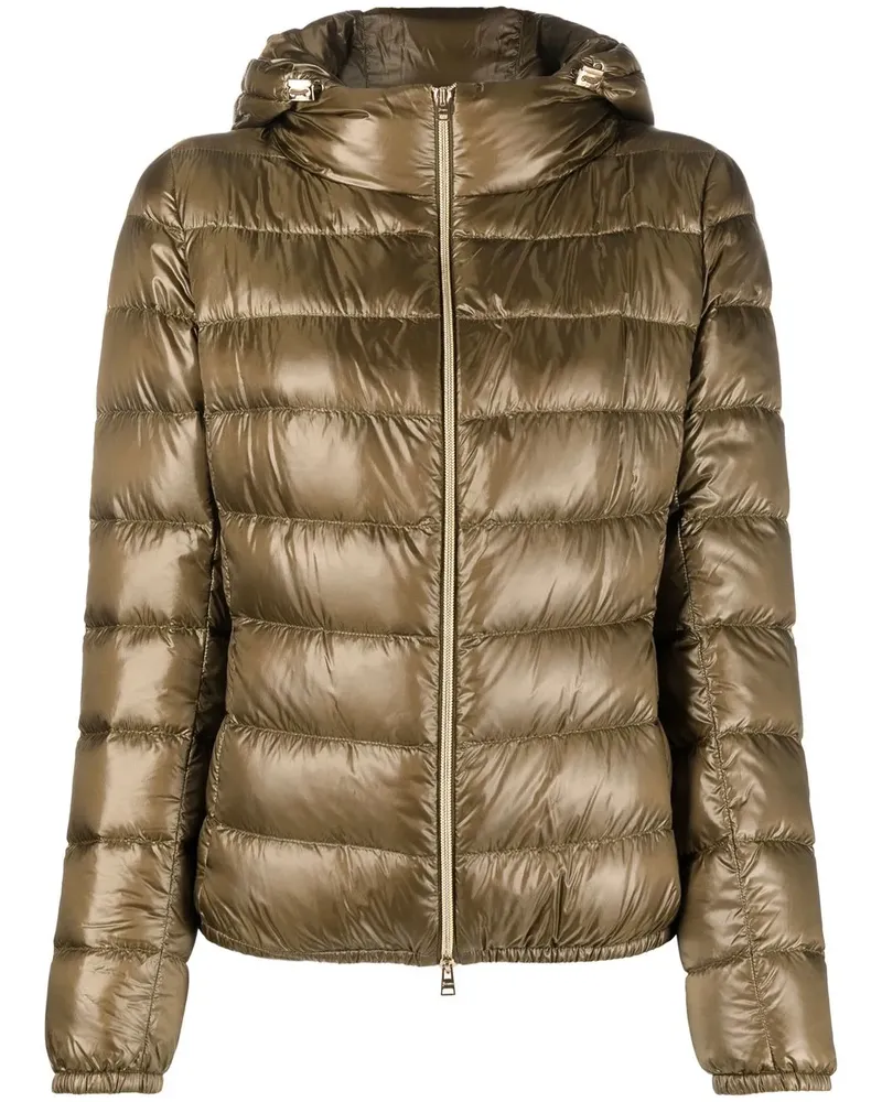 Herno Steppjacke in Glanzoptik - Grün Grün
