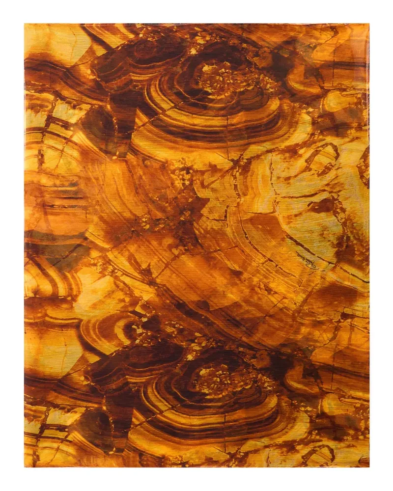 Roberto Cavalli abstract-print scarf - Braun Braun