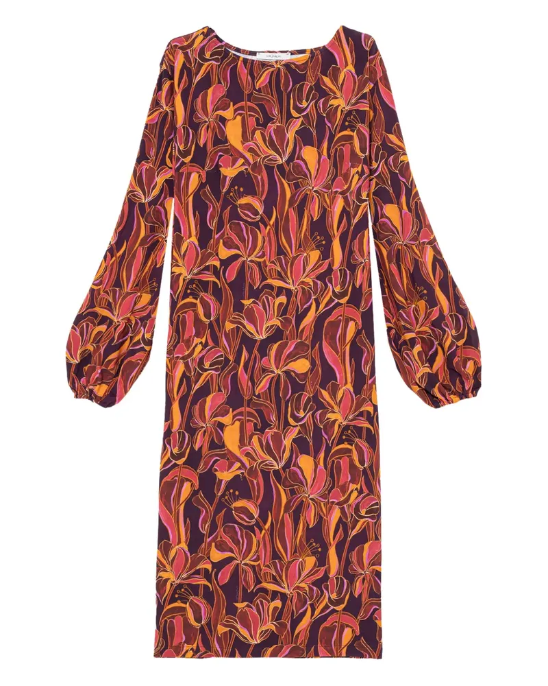 Maliparmi Midikleid mit Blumen-Print - Rot Rot