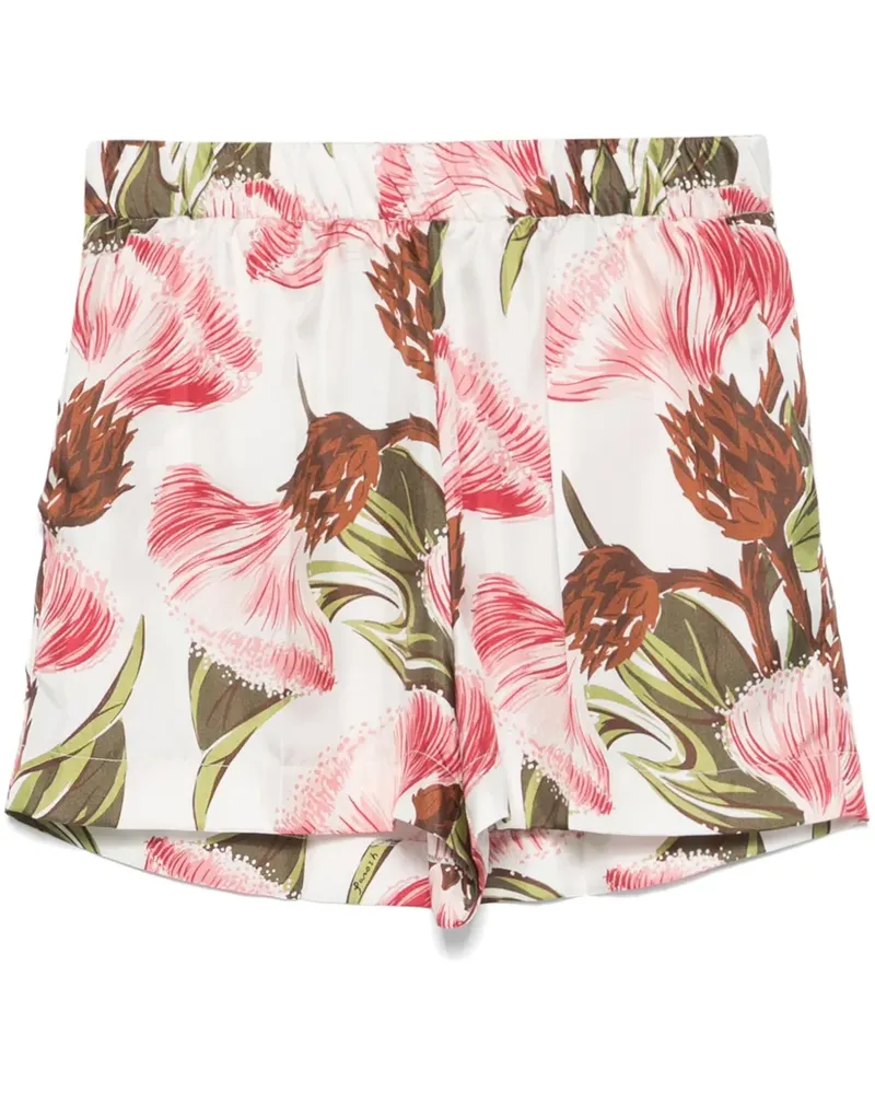 P.A.R.O.S.H. P.A.R.O H. Shorts mit Blumen-Print - Weiß Weiß