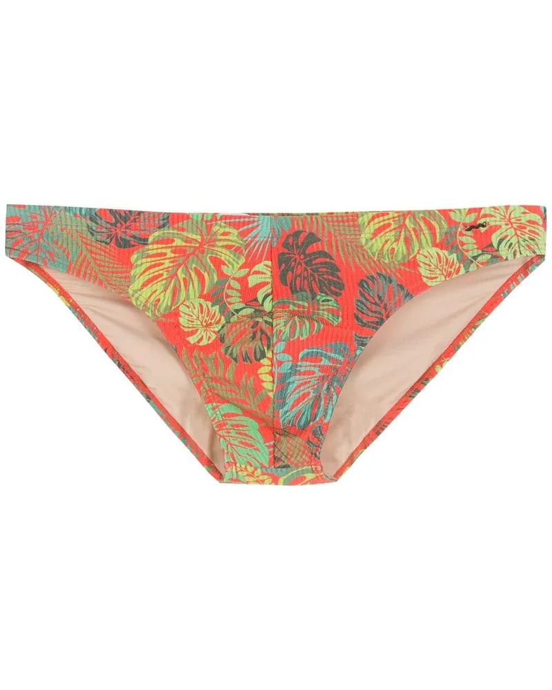 Amir Slama Slip mit Blatt-Print Rot