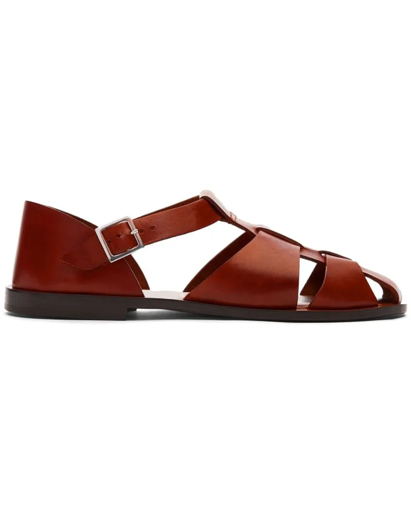 Scarosso Apollo Sandalen mit Schnallenverschluss - Braun Braun
