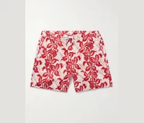 Bulldog Petralis gerade geschnittene mittellange Badeshorts aus recyceltem Shell mit Print