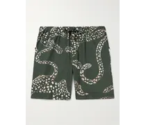 Pyjama-Shorts aus bedruckter Baumwolle