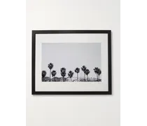 2015 Stephen Albanese Hollywood Palm Trees – Gerahmter Fotodruck, 41 x 51 cm