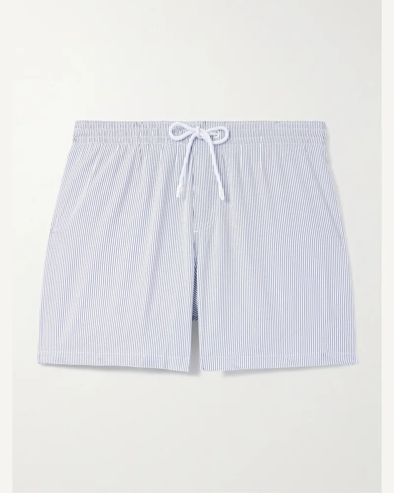 Loro Piana Daneu Straight-Leg Mid-Length Striped Swim Shorts Blue