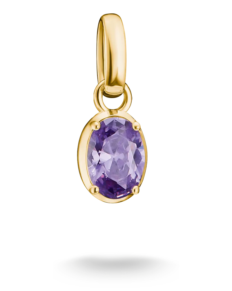 Thomas Sabo Charm Geburtsstein Februar – Connect violett CC1330-M01-13 Gelbgoldfarben