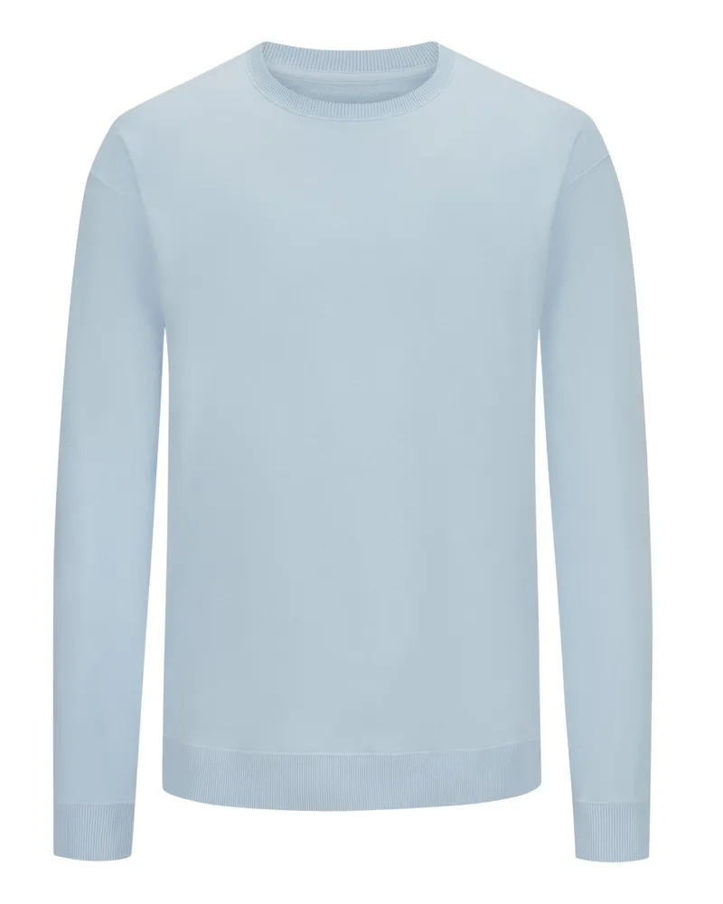 Juvia Sweatshirt in Washed-Optik Hellblau