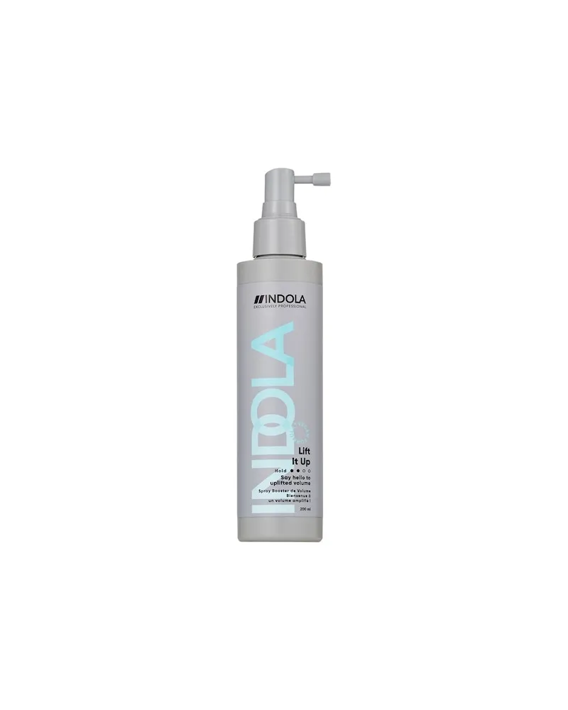 Indola Care-Styling INNOVA-StylingLift It Up 48,50 € / 1 l 