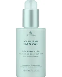 Alterna My Hair My Canvas Create Soaring High Volumizing Blowout Mist 