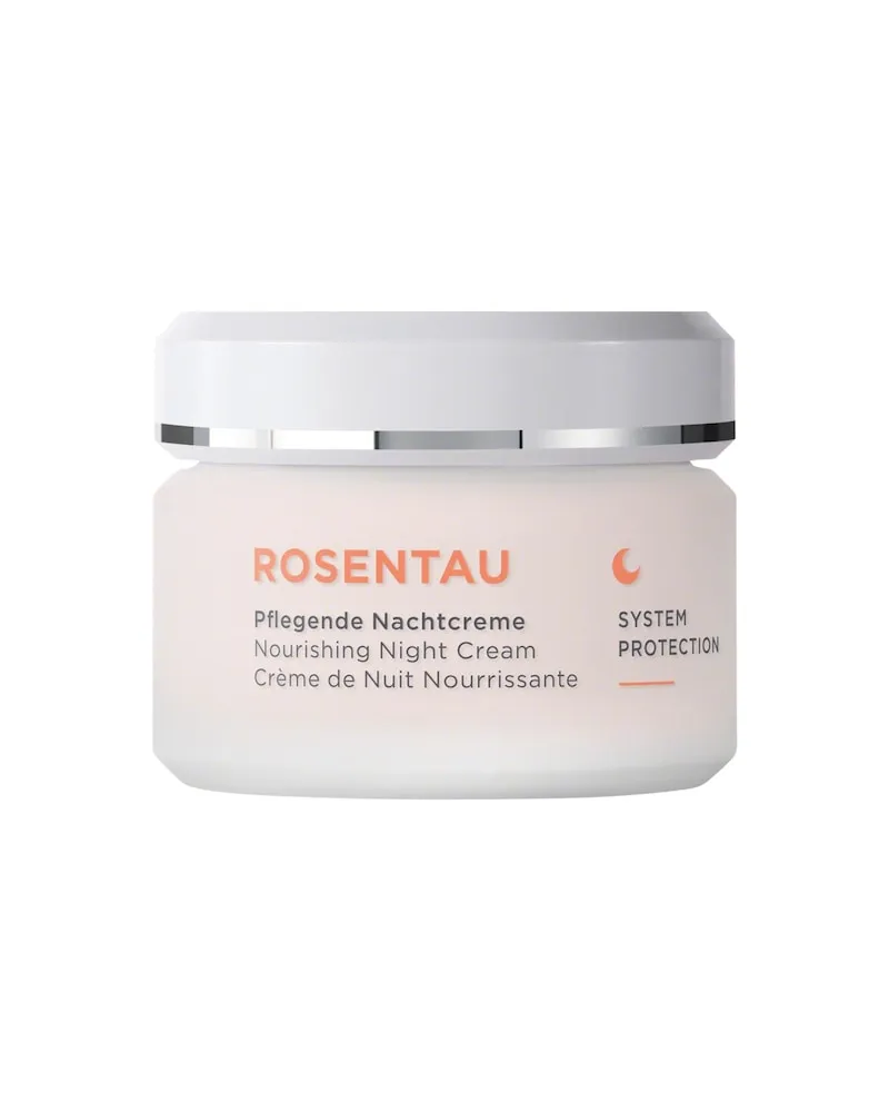 Annemarie Börlind ANNEMARIE-BOeRLIND Gesichtspflege ROSENTAUPflegende Nachtcreme 759,00 € / 1 l 