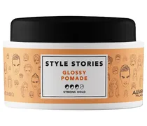 Haarstyling Style Stories Glossy Pomade