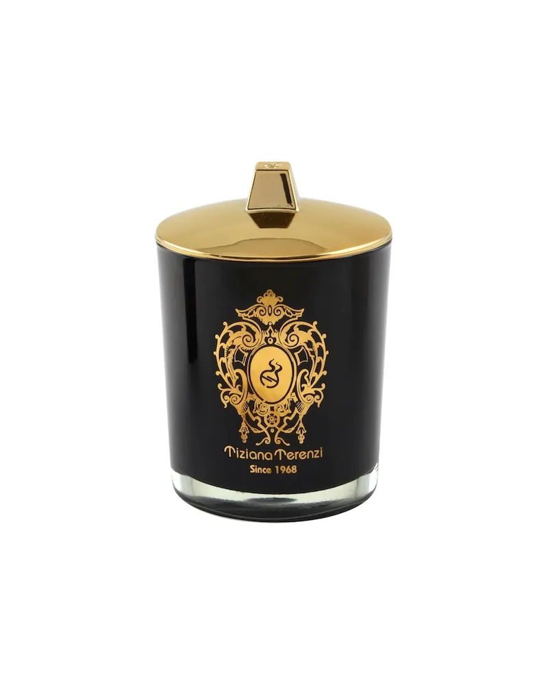 Tiziana Terenzi Tiziana-Terenzi Home DuftkerzenAlmond Vanilla 647,06 € / 1 kg 
