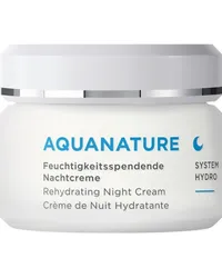 Annemarie Börlind Gesichtspflege AQUANATURE Feuchtigkeitsspendende Nachtcreme 