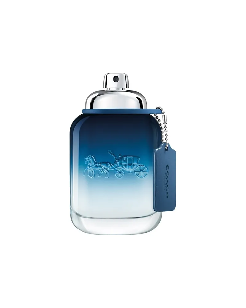 Coach Herrenduefte BlueEau de Toilette Spray 623,20 € / 1 l 