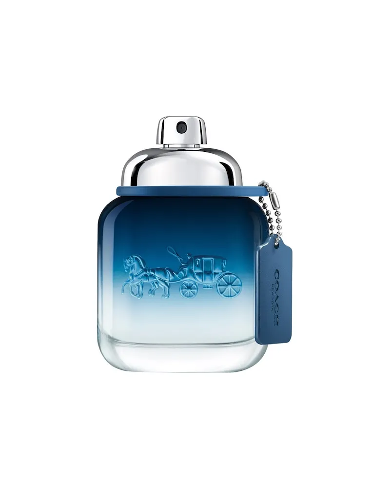 Coach Herrenduefte BlueEau de Toilette Spray 623,20 € / 1 l 
