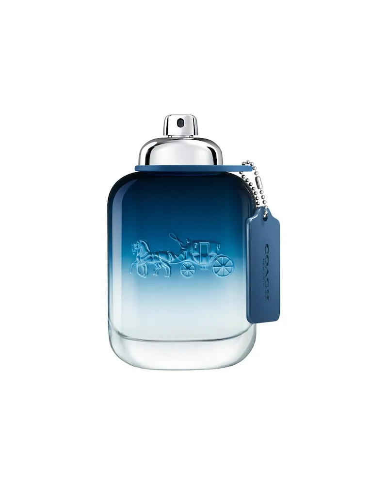 Coach Herrenduefte BlueEau de Toilette Spray 623,20 € / 1 l 