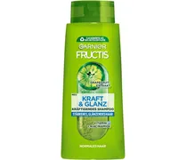 Haarpflege Fructis Kraft & GlanzKräftigendes Shampoo