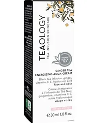 Tea Infusion Skincare Pflege Gesichtspflege Ginger Tea Energizing Aqua Cream 