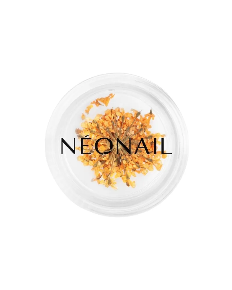 NeoNail Kollektionen The-Muse-in-YouDried Flowers Orange 