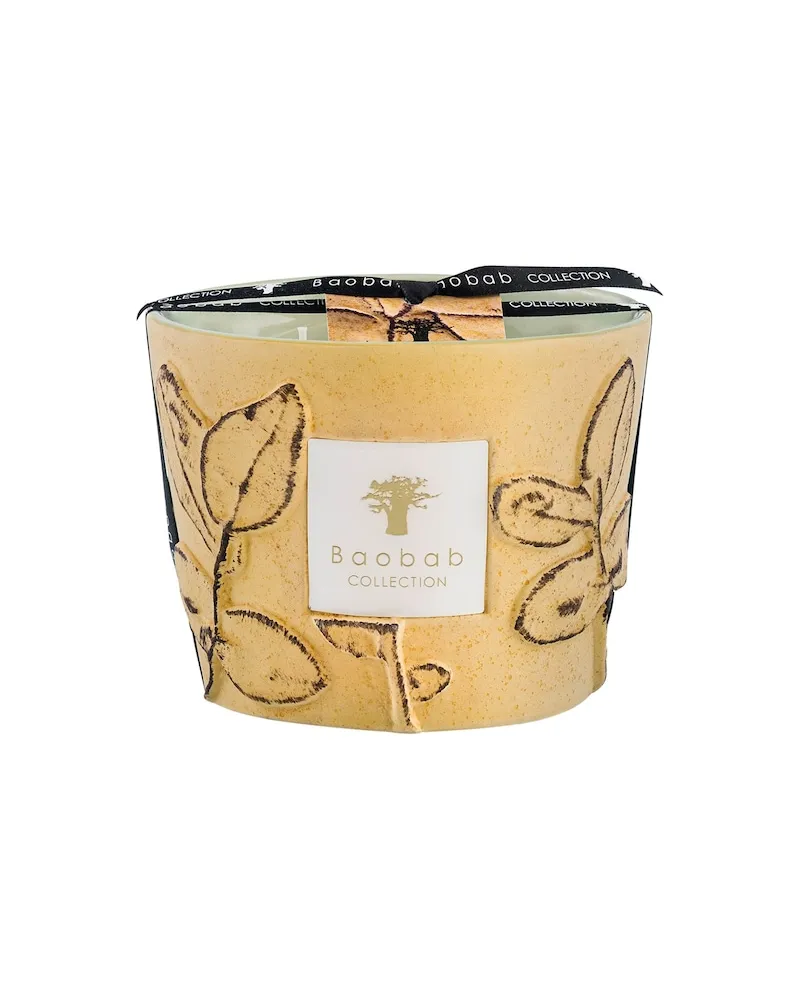 Baobab Collection Home Scented-CandlesDuftkerze Folia Garrigue Max 16 63,41 € / 1 kg 