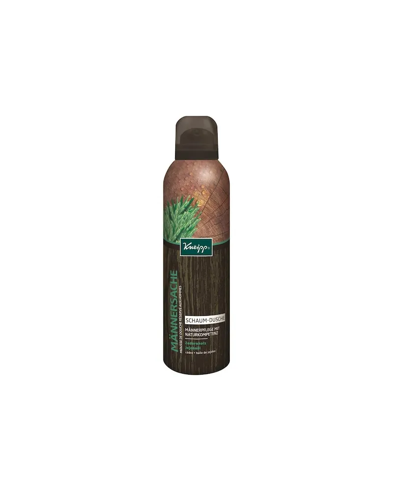 Kneipp Pflege HerrenpflegeSchaum-Dusche Männersache 24,95 € / 1 l 