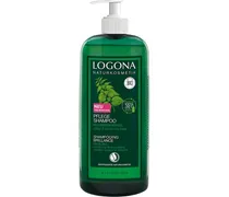 Haarpflege Shampoo Pflege Shampoo Bio-Brennnessel