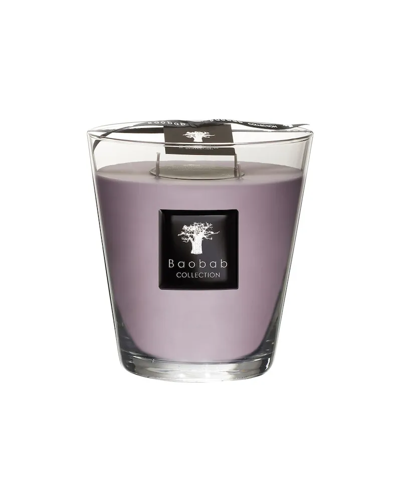 Baobab Collection Collection All-SeasonsDuftkerze White Rhino Max 16 100,00 € / 1 kg 