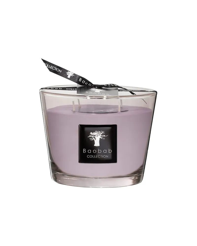 Baobab Collection Collection All-SeasonsDuftkerze White Rhino Max 16 100,00 € / 1 kg 