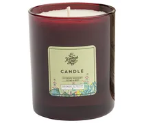 Collections Lavender & Rosemary Candle