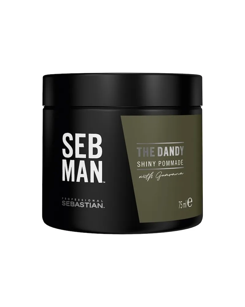 Sebastian SebMan StylingThe Dandy Light Hold Pomade 207,73 € / 1 l 