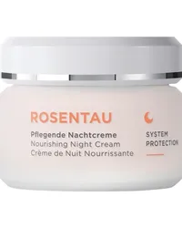 Annemarie Börlind Gesichtspflege ROSENTAU Pflegende Nachtcreme 