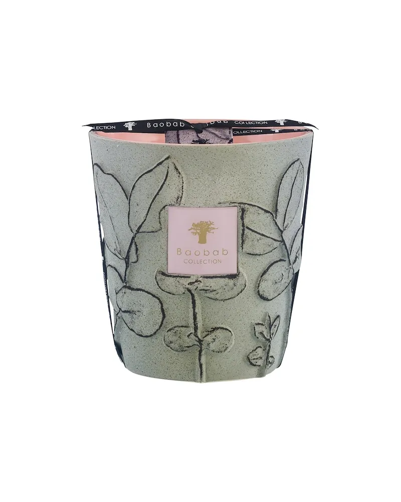 Baobab Collection Home Scented-CandlesDuftkerze Folia Maquis Max 16 63,41 € / 1 kg 