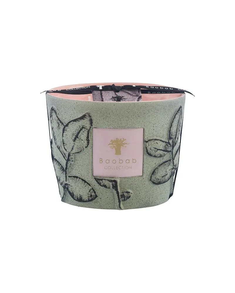 Baobab Collection Home Scented-CandlesDuftkerze Folia Maquis Max 16 63,41 € / 1 kg 