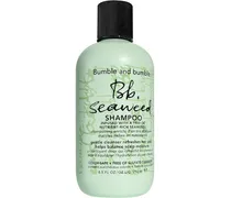 Shampoo & Conditioner Shampoo Seaweed Shampoo
