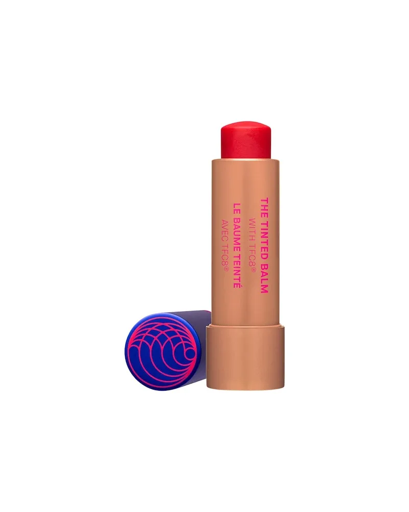 Augustinus Bader Augustinus-Bader Pflege GesichtThe Tinted Balm Shade 3 - Earthy Plum 