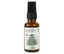 Wellness Aromatherapy Aroma Care Clean HandsHand Cleansing Spray