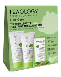 Tea Infusion Skincare Pflege Haarpflege Geschenkset Matcha Repair Shampoo 30 ml + Matcha Repair and Glow Hair Mask 30 ml + 1x Matcha Repair Instant Serum 