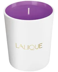 Lalique Kollektionen Les Compositions Parfumées Electric PurpleCandle 