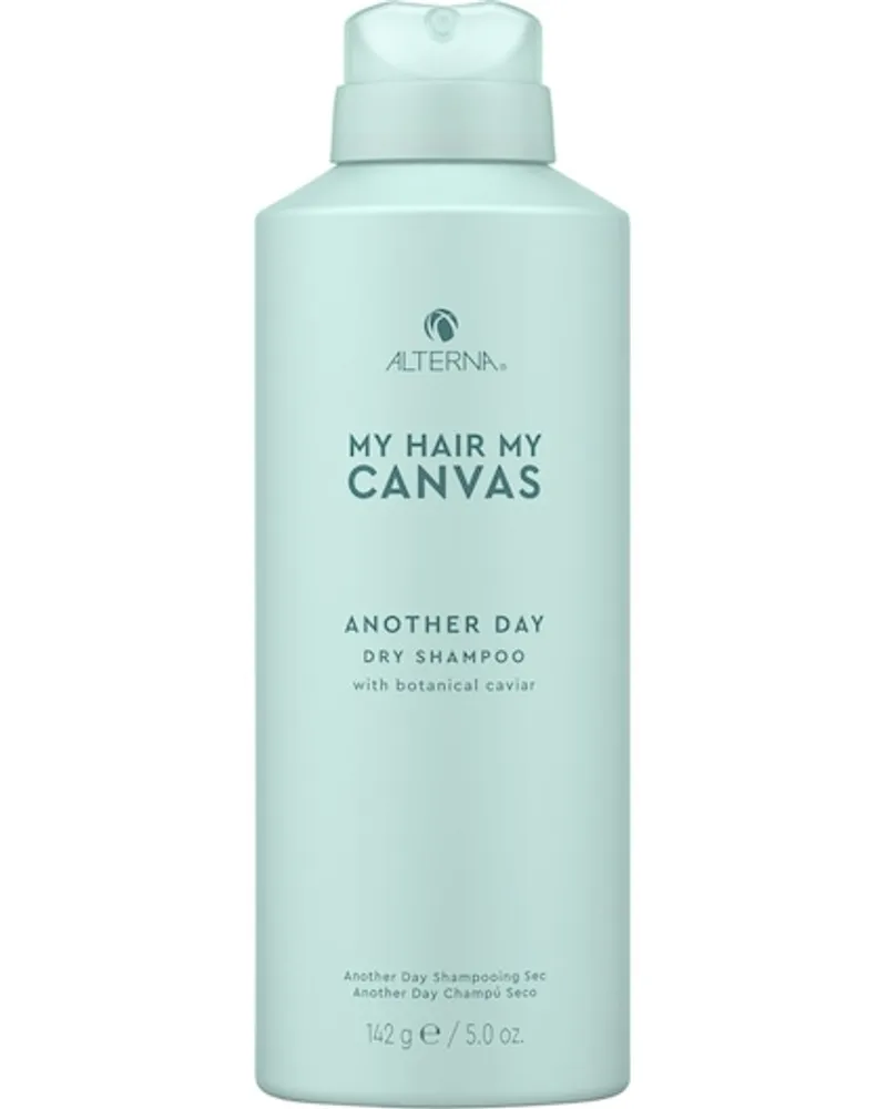 Alterna My Hair My Canvas Extend Another Day Dry Shampoo 